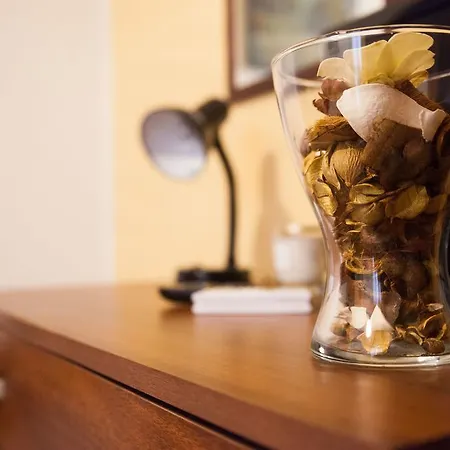 Il Cavaliere 게스트하우스